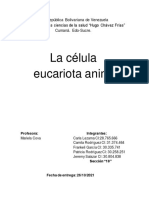 Trabajo de la celula eucariota animal seccion 10