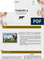 Exposicion introduccionMVZ Tapabua (GPJFC)