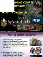 What Is Senior Scouting