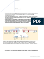 Presentasi MHC & Antigen