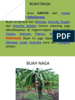 BUAH NAGA