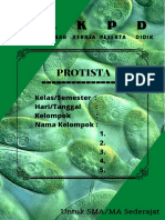 LKPD Protista