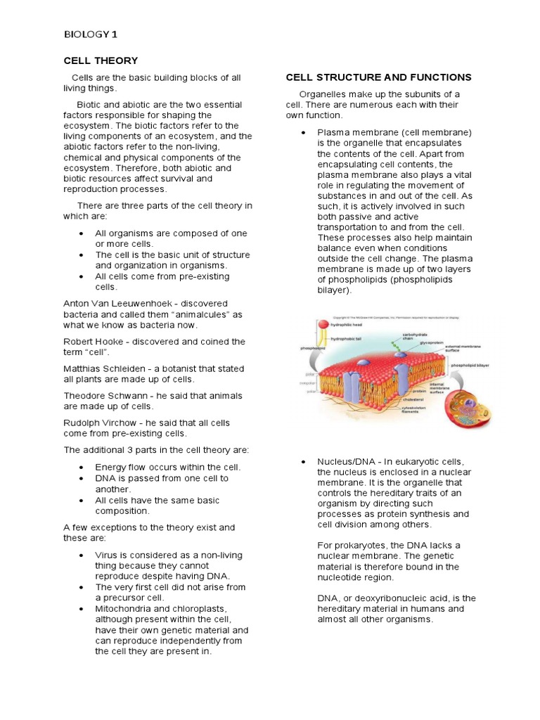 Cell Theory and Structure Overview | PDF | Cell (Biology) | Organelle