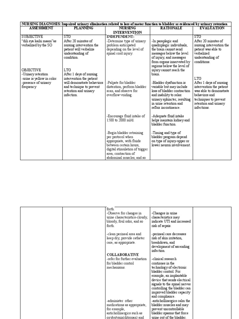 Impaired Urinary Elimination | PDF | Urinary Incontinence | Medical ...