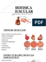 TEMA 9 Biofisica Muscular