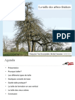 FP - Formation Taille - 28 Mars 2015