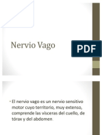 Nervio Vago