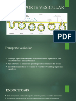 TRANSPORTE VESICULAR