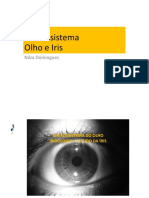Aula E 04 - Olho e Iris 2020 (1)