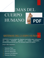 Presentacion  sistemas del cuerpo humano