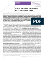 Clasificacion Taxonomica