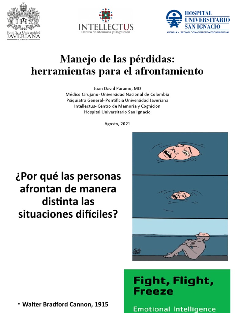 Estrategias para el manejo del duelo | PDF | Las emociones | Dolor