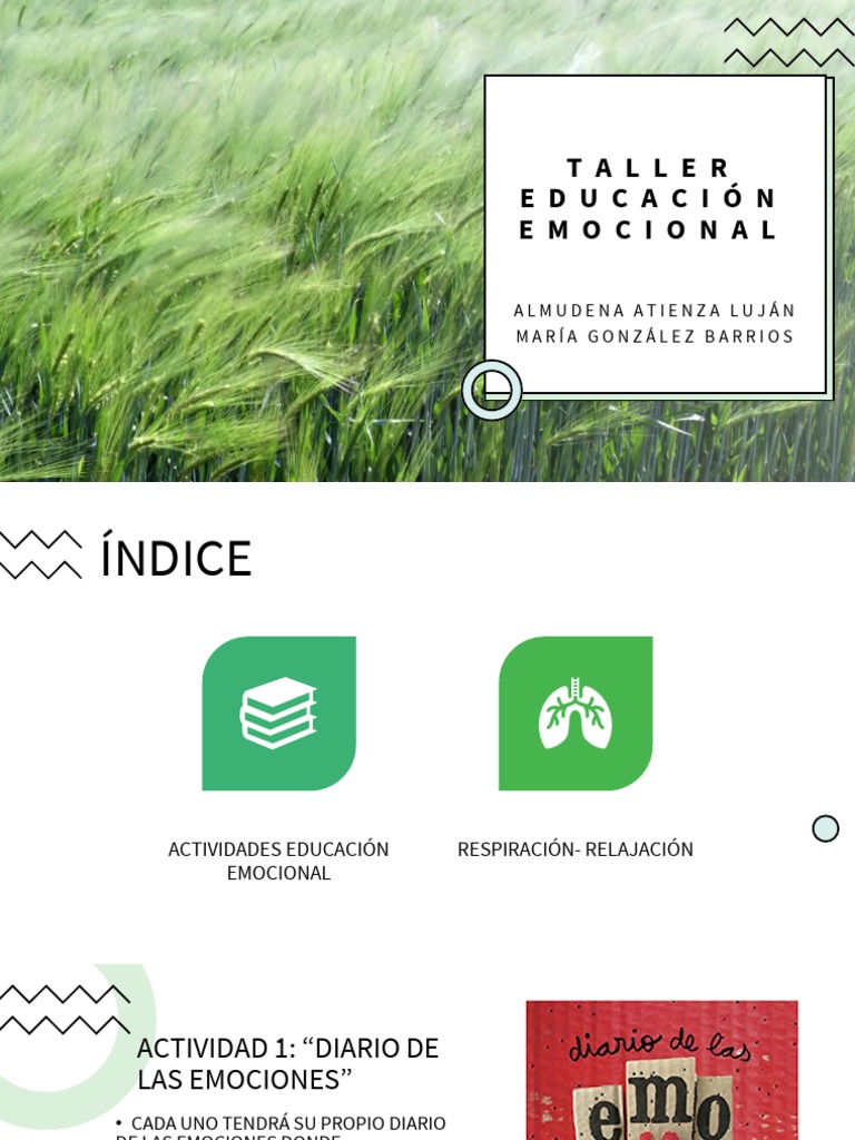 Educacion Emocional | PDF | Las emociones | La naturaleza humana