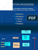 Understanding How Information Processing Works in the Brain
