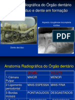 Anatomia Radiográfica - Aula 2