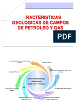 Caracteristicas Geologicas de Campos de Petroleo y Gas