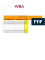 Formato Data Fle Nacional