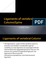 Ligaments of Vertebral GauravS
