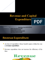 Revenue and Capital Expenditure