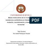 tesis doctoral_Ana I Rodríguez_Sept2018