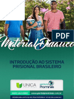 Introdução Ao Sistema Penal Brasileiro