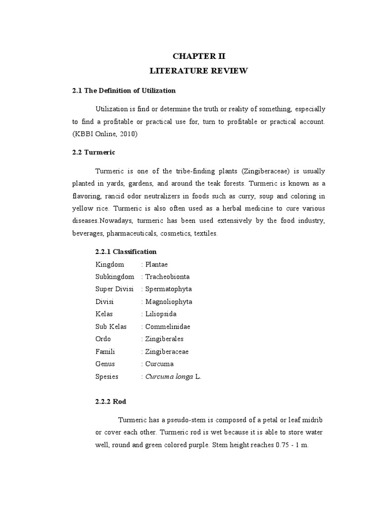 Literature Review 2.1 The Definition of Utilization PDF Tofu Turmeric