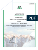 Anexo 4 David Certificado