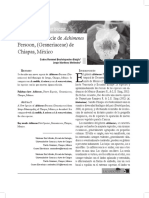 Achimenes-sp.-nov.-PDF-ligero