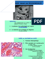 CAT DVT Splenomegalie