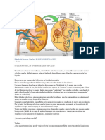 Biodecodificacion Problemas de Riñon