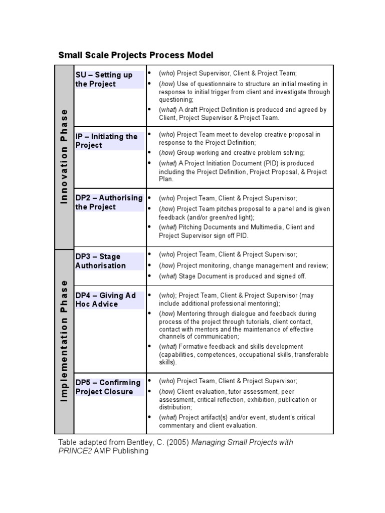 Project Setup Model | PDF | Mentorship | Communication