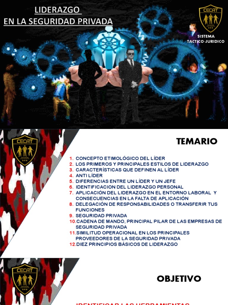 Liderazgo en La Seguridad Privada | PDF | Liderazgo