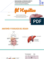 Perfil Hepatico