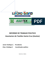 Informe de Trabajo Politico Ac