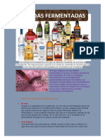 Bebidas Fermentadas1.1