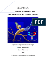 2595991 Psicologia Biofisica Quantistica Nel Cervello Umano