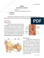 Anatomia Da Orelha e Otites