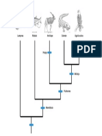 Cladograma