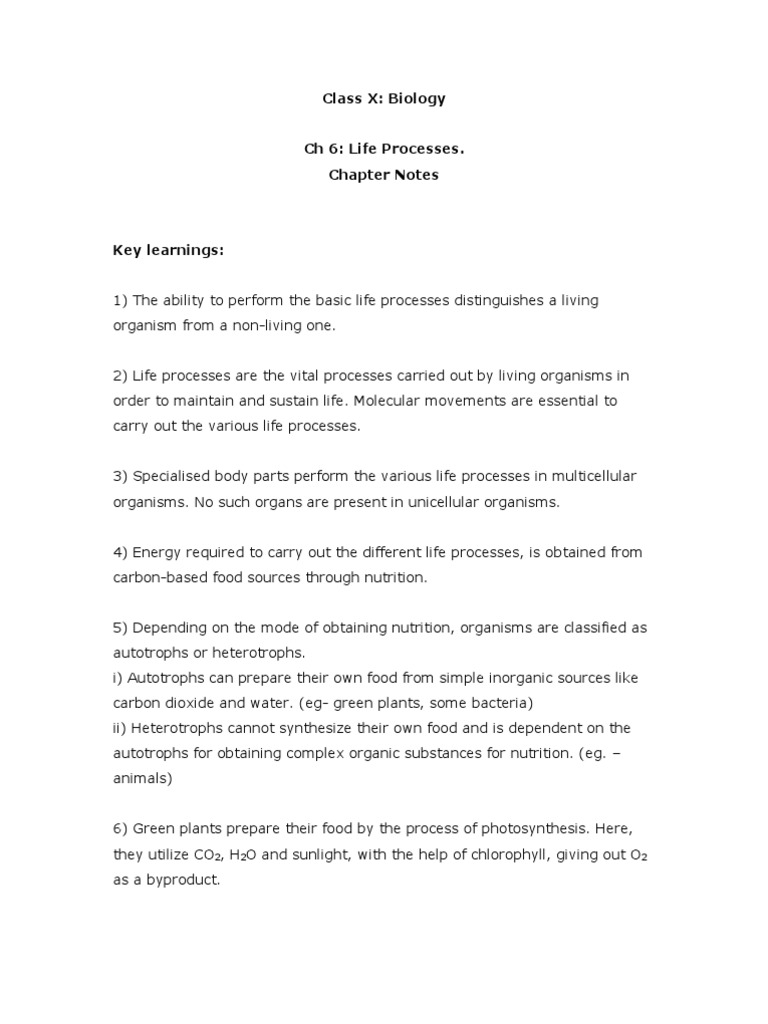 Life Processes in Class 10 Biology | PDF | Digestion | Blood
