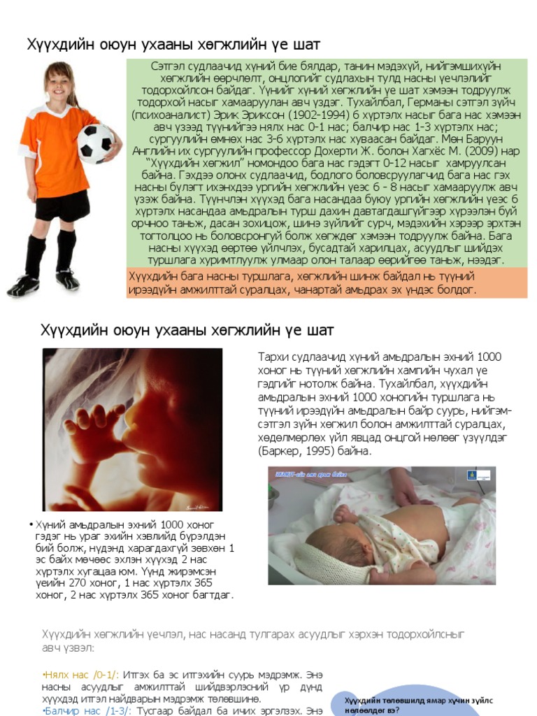 Хүүхдийн Оюун Ухааны Хөгжлийн Үе Шат | PDF