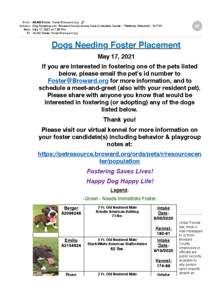 Dog Fostering List Broward County Animal Care Adoption Center Referrals