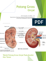 MATERI IV Grossing Technique (Kidney) - DR - Sri Suryanti, SP - PA (K) ., MS