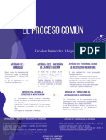 El Proceso Común