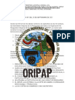 Acta Orpap Modelo 1