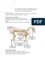 Osteologia