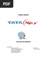 Download Project Report-Tata Sky by Jai Kumar SN54054350 doc pdf