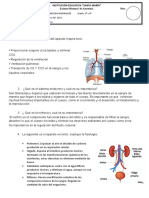 Examen - Noviembre .Anatomia3 y 4