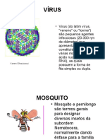 Vocabulário Ilustrado Sobre A Dengue