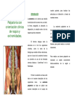 Tríptico Anatomia Palpatoria