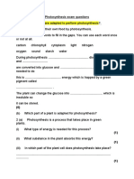 Photosynthesis exam questions